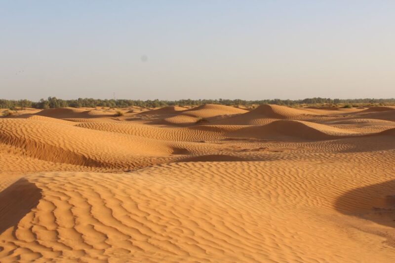 From Djerba: Full-Day Ksar Ghilane Hot Spring and Villages - Journey Along the Roman Road