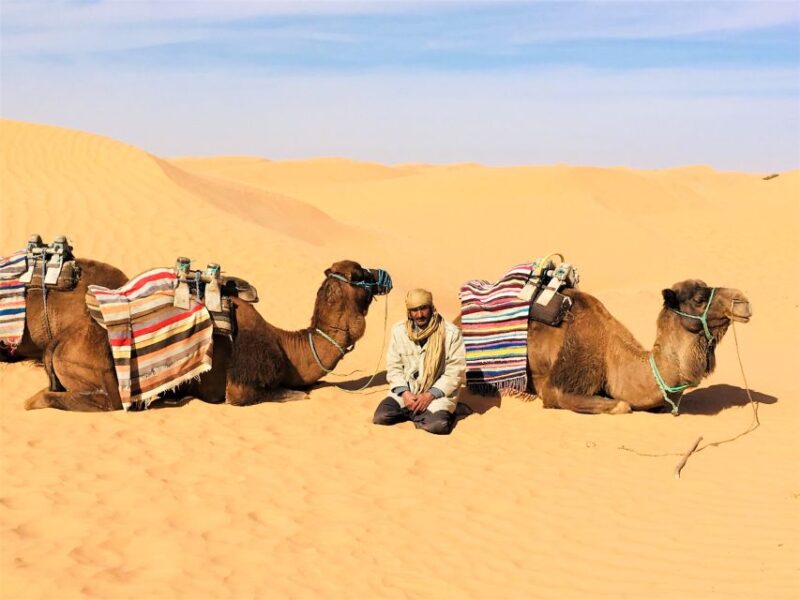 From Djerba: Full-Day Ksar Ghilane, Sahara and Oasis Tour - Whats Included