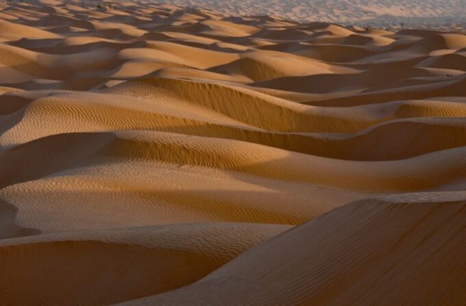 From Djerba: Full-Day Ksar Ghilane, Sahara and Oasis Tour - Important Considerations