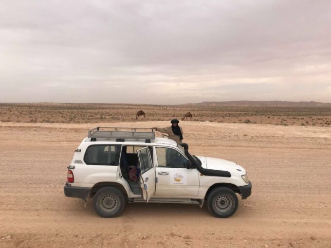 From Djerba: Full-Day Ksar Ghilane, Sahara and Oasis Tour - Booking Information