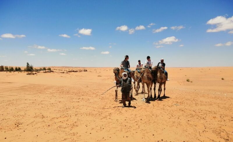 From Djerba Midun: 2-Day Desert and Ancient Cottage Tour - Activities at Ksar Ghilane