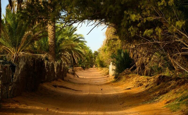From Djerba Midun: 2-Day Desert and Ancient Cottage Tour - Exploring Berber Villages