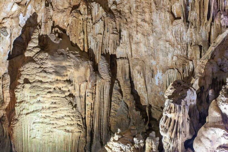 From Dong Hoi : Paradise and Phong Nha Caves Day Trip - Highlights and Experiences