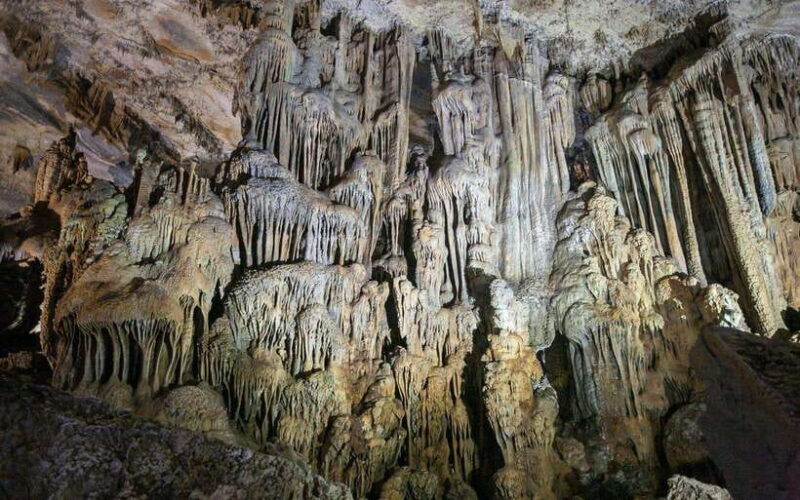 From Dong Hoi : Paradise and Phong Nha Caves Day Trip - Exclusions