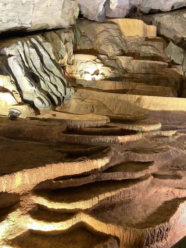 From Dong Hoi: Phong Nha & Dark Cave Full-Day Adventure Tour - Pickup Location and Transportation