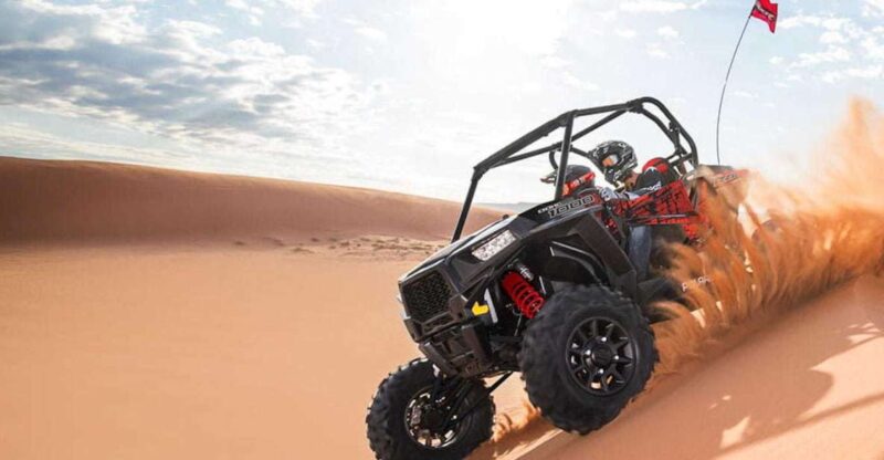 From Douz: 2-Day Sahara Desert Buggy Safari - Wildlife Spotting Opportunities