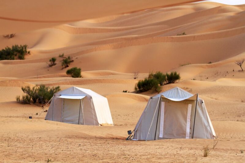 From Douz: Overnight Safari in Tunisian Sahara Desert - Wildlife Spotting Experience