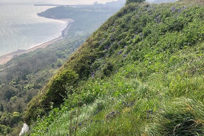 From Dover Cruise Ship; Grand Tour of White Cliffs Country & Back - What to Expect on Tour