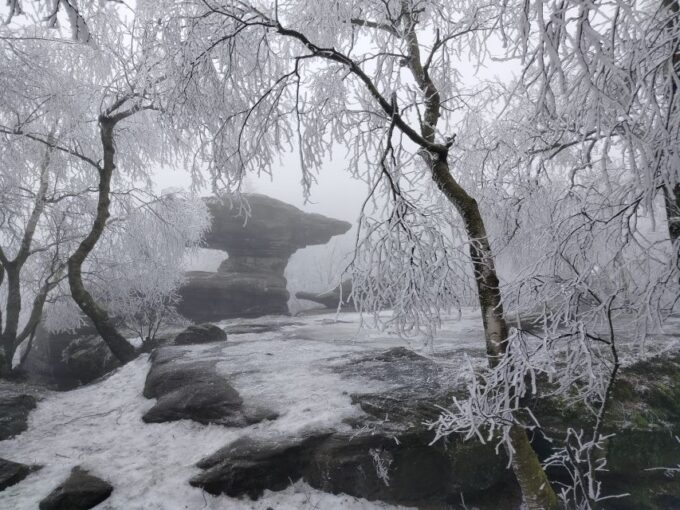 From Dresden: Bohemian & Saxon Switzerland Day Trip - Additional Information