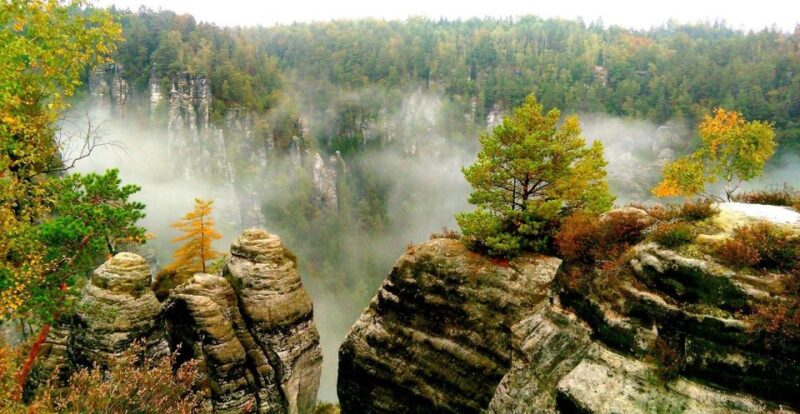 From Dresden: Bohemian & Saxon Switzerland Day Trip - Important Information