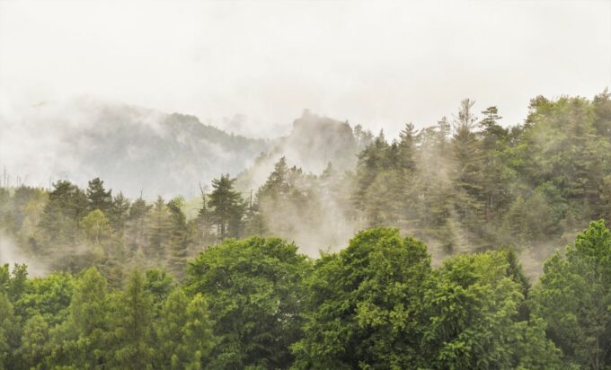 From Dresden: Bohemian & Saxon Switzerland Day Trip - Booking and Cancellation