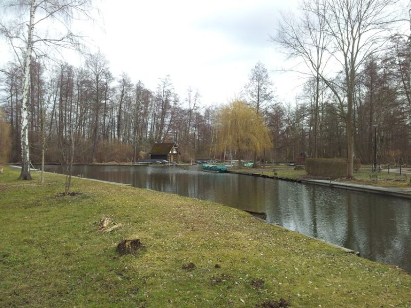 From Dresden: Day Trip to The Spreewald - Key Points