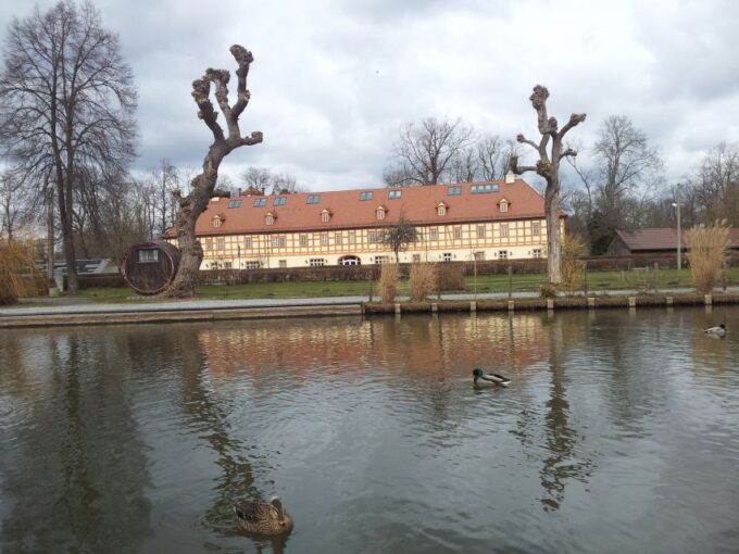 From Dresden: Day Trip to The Spreewald - Tour Guide and Language