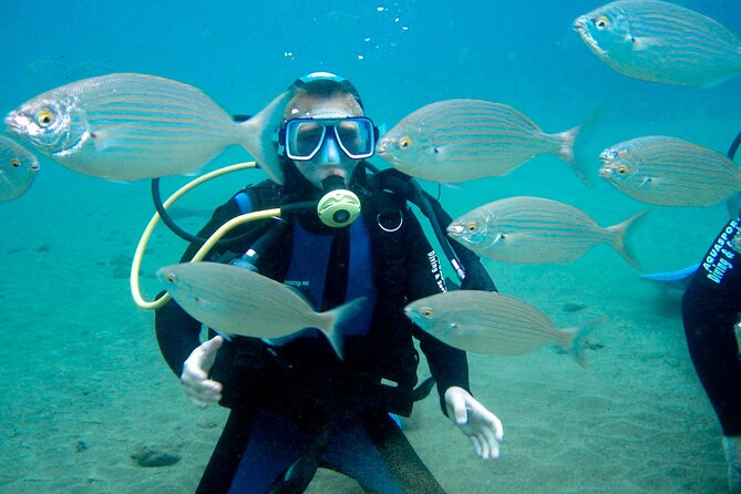 From Dubai: Discovery Scuba Diving Trip in Fujairah - Booking and Confirmation