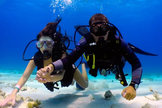 From Dubai: Discovery Scuba Diving Trip in Fujairah - Explore the Arabian Sea