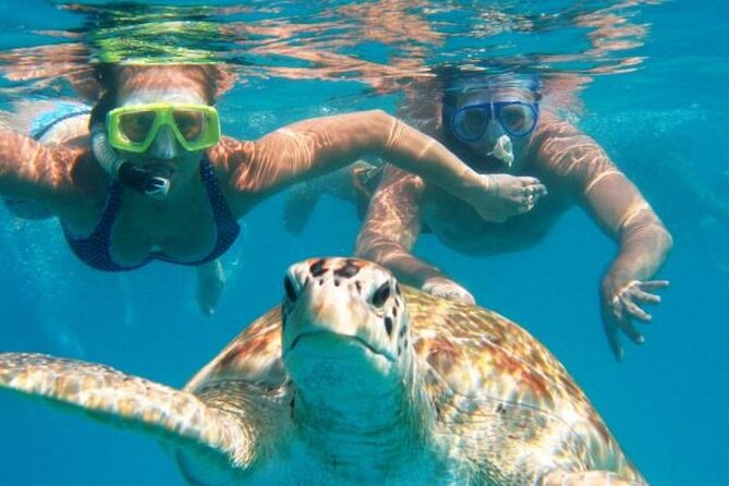 From Dubai: Snorkeling Trip in Fujairah - Pickup and Departure