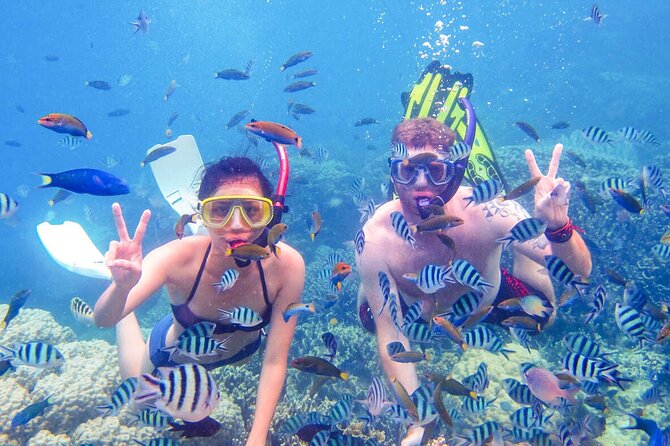 From Dubai: Snorkeling Trip in Fujairah - Age and Group Size