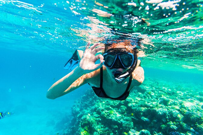 From Dubai: Snorkeling Trip in Fujairah - Cancellation Policy