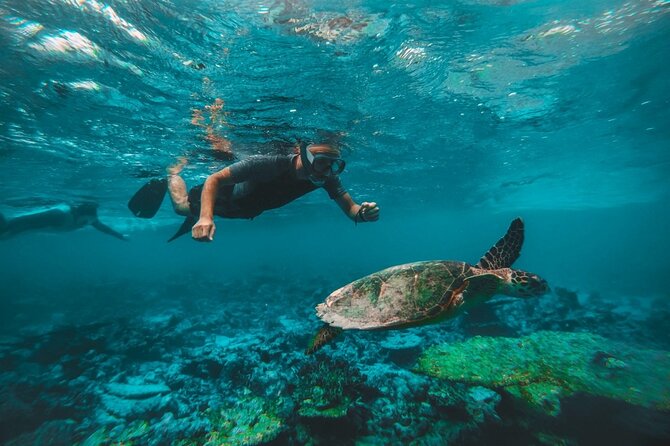 From Dubai: Snorkeling Trip in Fujairah - What to Expect