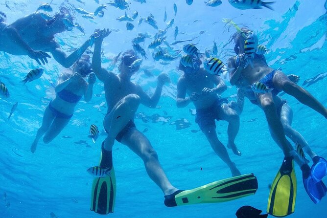 From Dubai: Snorkeling Trip in Fujairah - Additional Information