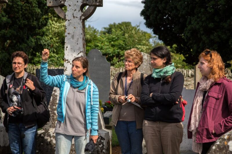 From Dublin: Celtic Boyne Valley and Ancient Sites Tour - Key Points