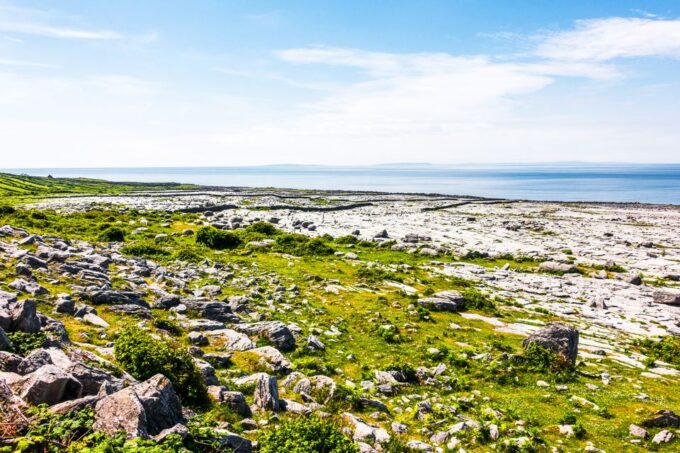 From Dublin: Cliffs of Moher, Burren & Galway City Day Tour - Recommendations