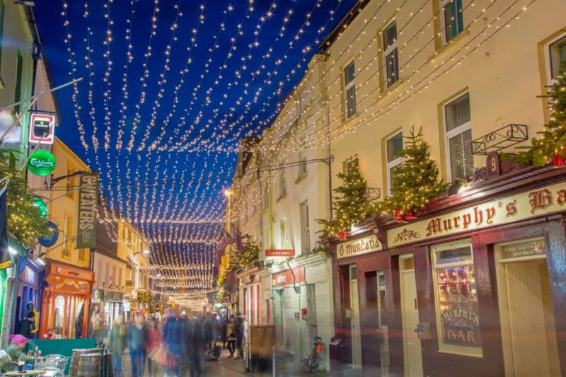 From Dublin: Connemara and Galway Full-Day Tour - Itinerary Highlights