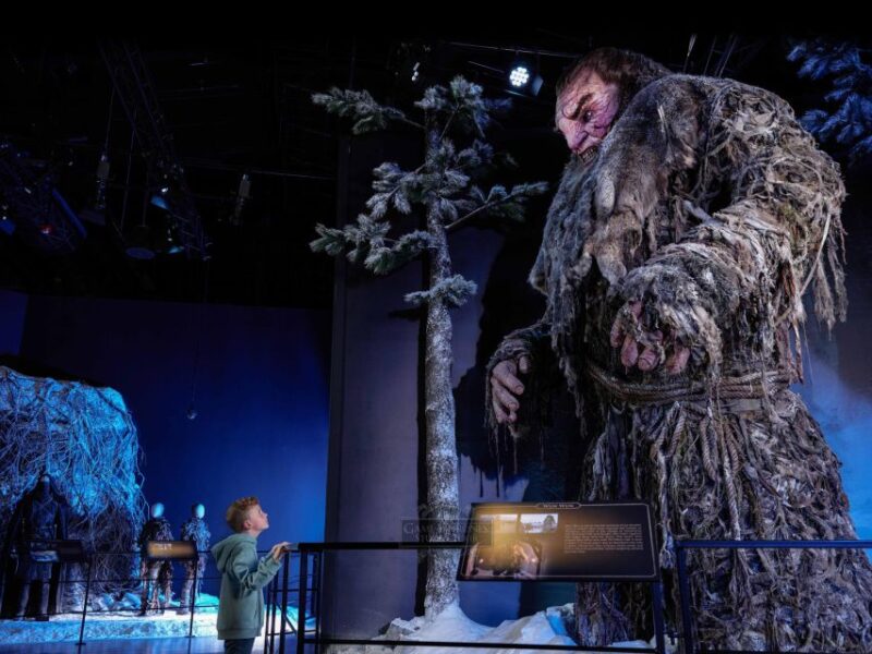 From Dublin: Game of Thrones Studio Tour With Coach Transfer - Restrictions and Policies