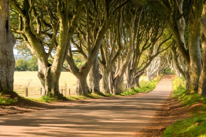 From Dublin: Giants Causeway & Belfast Titanic With Ticket - Scenic Photo Stops