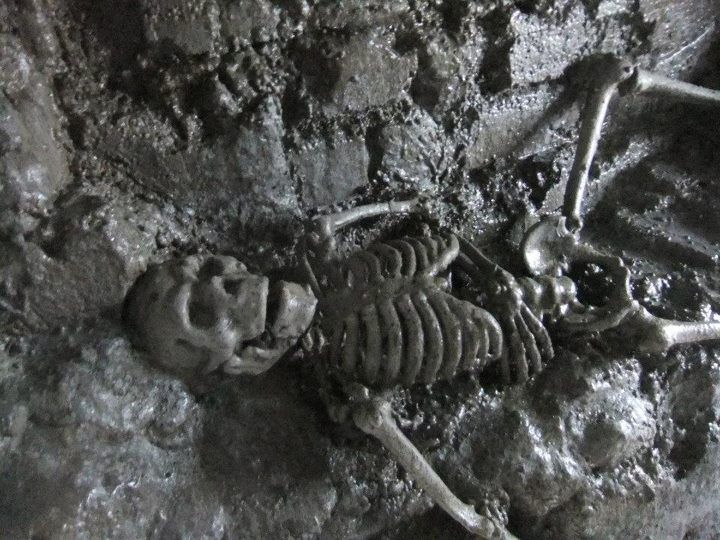 From Dublin: Gravedigger Ghost Bus Tour - Complimentary Ghoulish Brew