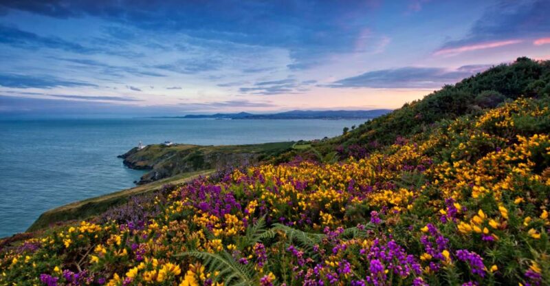 From Dublin: Half-Day Guided Coastal Tour to Howth Village - Key Points