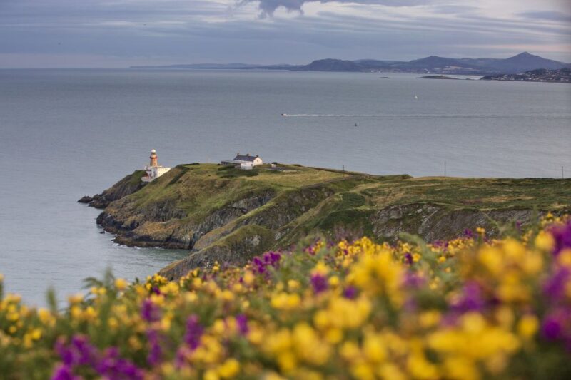 From Dublin: Half-Day Guided Coastal Tour to Howth Village - Tour Features