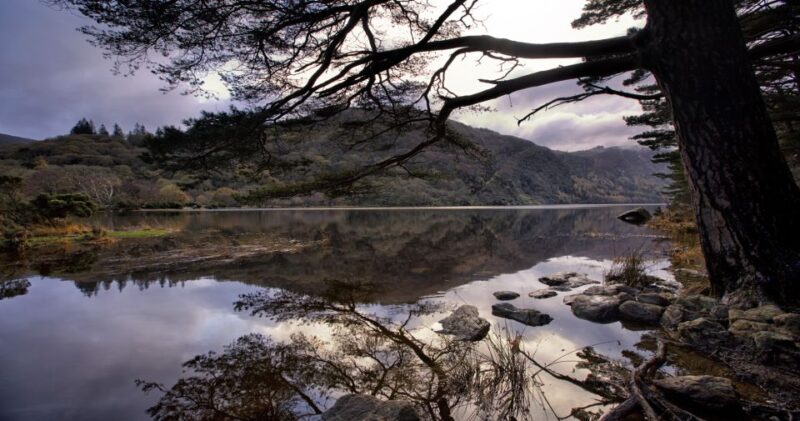 From Dublin: Wicklow Mountains, Glendalough, & Kilkenny Tour - Cultural and Historical Insights