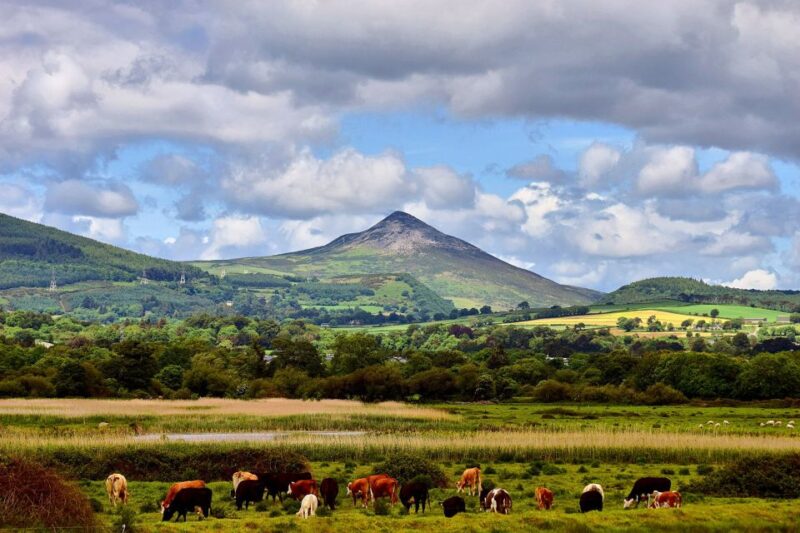 From Dublin: Wicklow Mountains, Glendalough & Kilkenny Tour - Guide Rating