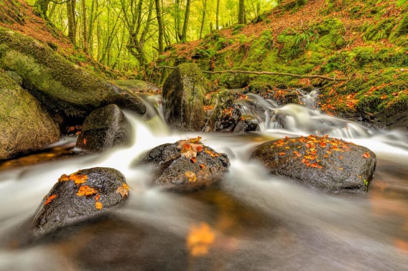 From Dublin: Wild Wicklow Mountains and Glendalough Tour - Age Restrictions