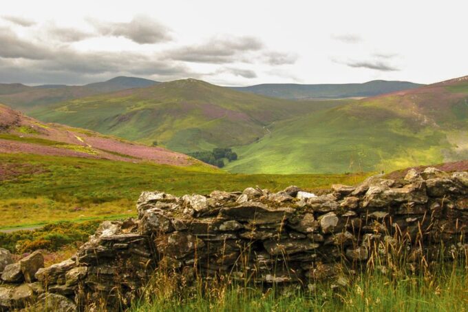 From Dublin: Wild Wicklow Mountains and Glendalough Tour - Customer Ratings