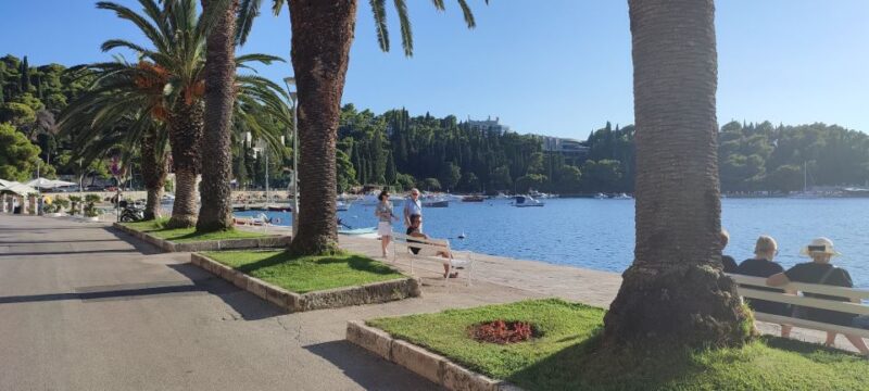 From Dubrovnik: Half-Day Wine Tasting and Cavtat City Tour - Winery Experience