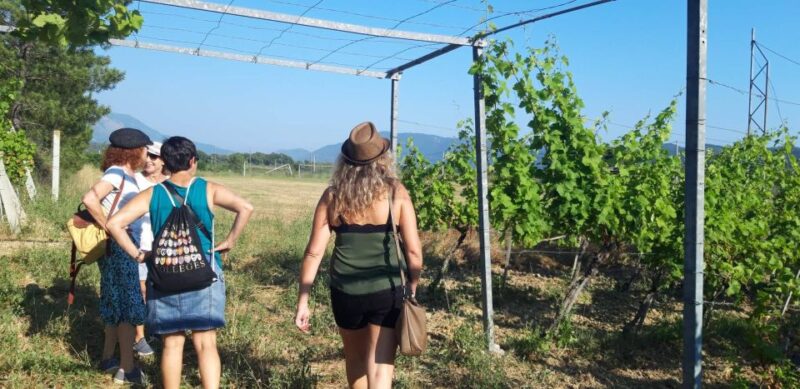 From Dubrovnik: Half-Day Wine Tasting and Cavtat City Tour - Exploring Cavtat