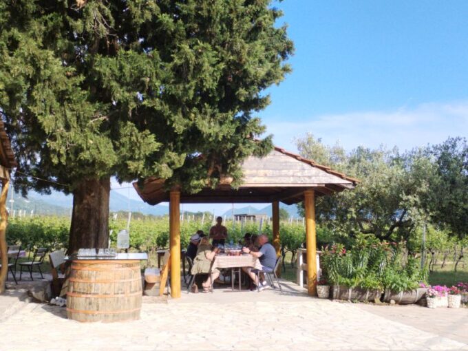From Dubrovnik: Half-Day Wine Tasting and Cavtat City Tour - Pricing and Booking