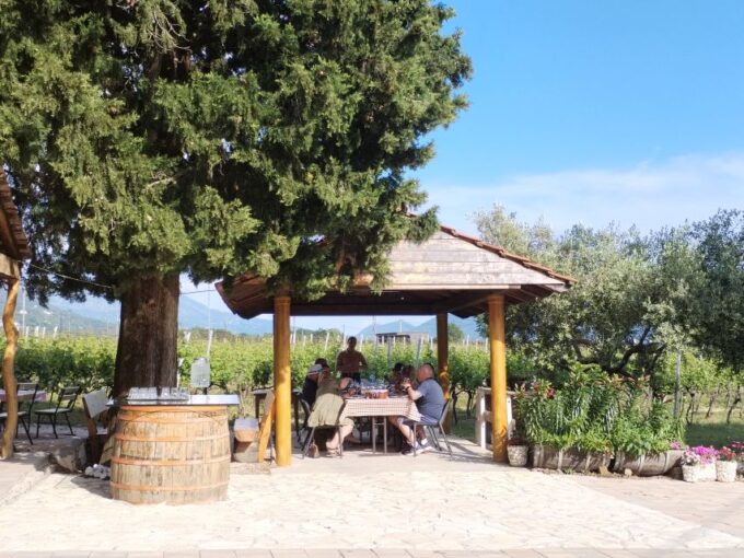 From Dubrovnik: Half-Day Wine Tasting and Cavtat City Tour - Pickup and Transportation
