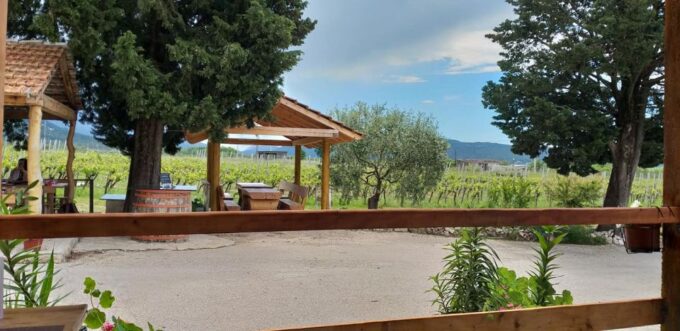 From Dubrovnik: Half-Day Wine Tasting and Cavtat City Tour - Specialty Foods and Drinks