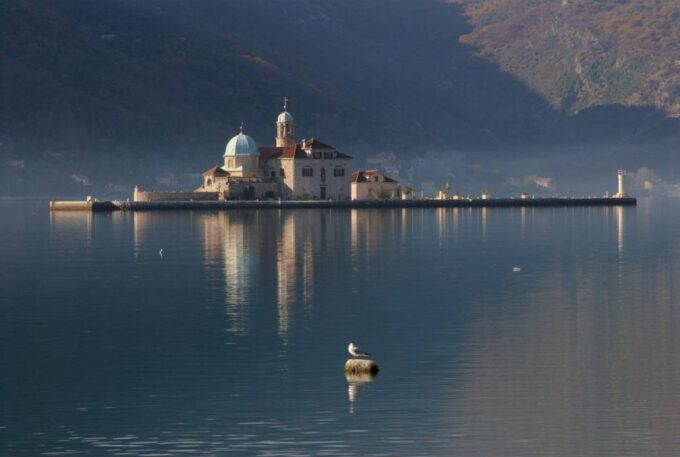 From Dubrovnik: Private Full-Day Trip to Montenegrin Towns - Customer Feedback