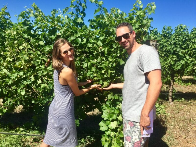 From Dunsborough/Busselton: Margaret River Wine Adventure - Key Points