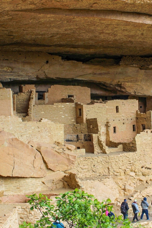 From Durango: Mesa Verde National Park Tour & Cliff Palace - Tour Itinerary