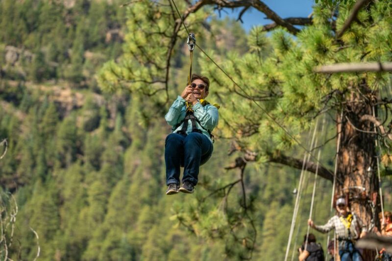 From Durango: Narrow Gauge Railroad & Ziplining With Dining - Sustainability and Preservation of Ponderosa Pine Forest