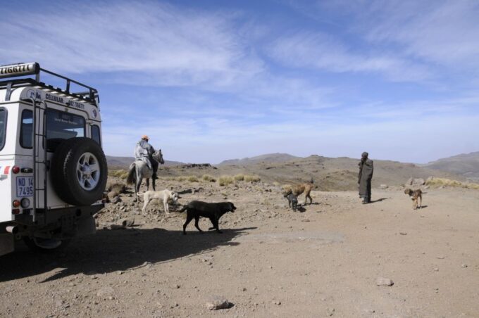 From Durban: Sani Pass and Lesotho by 4WD Vehicle - Returning to Durban