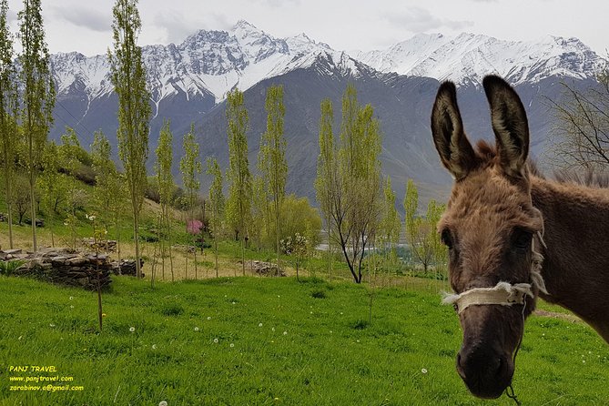 From Dushanbe to Wakhan Corridor and Back - Discovering Khorogs Natural Wonders
