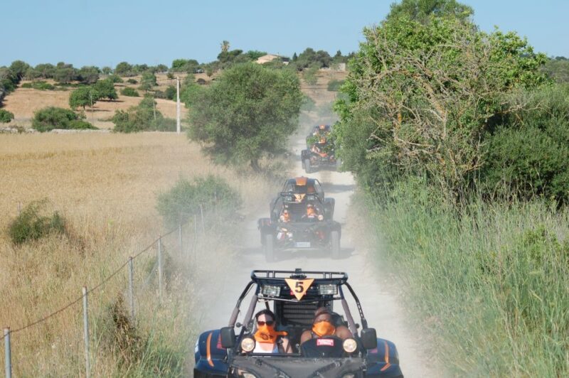 From East Mallorca: Guided Beach and Mountain Buggy Tour - Itinerary Highlights