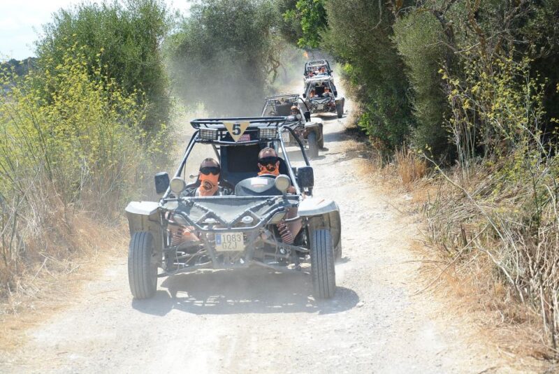 From East Mallorca: Guided Beach and Mountain Buggy Tour - Driver Requirements