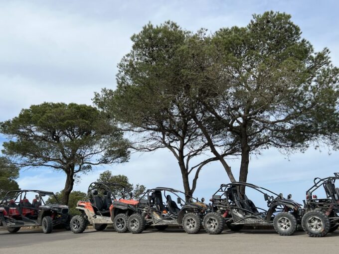 From East Mallorca: Guided Beach and Mountain Buggy Tour - Frequently Asked Questions